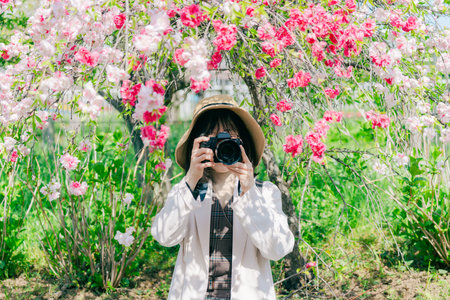 Young asian woman taking photo with camera in the blooming gardenの写真素材