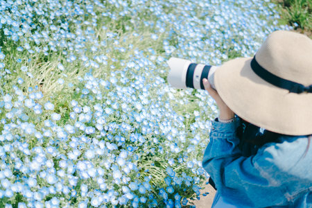 Woman taking photo with camera in the field of blue flax.の写真素材