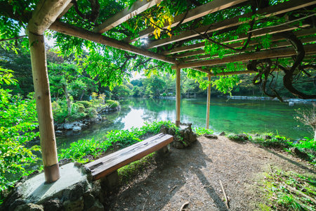Wooden bench in the park with beautiful nature background, Thailand.の写真素材