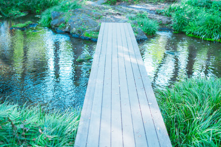 Wooden walkway in the park with green grass, Thailand.の写真素材
