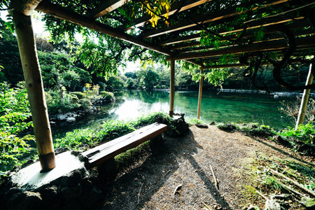 Beautiful view of the lake in the forest, Thailand.Vintage style.の写真素材