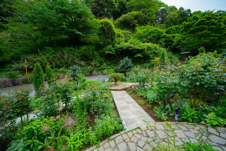 Beautiful garden with stone path and flowerbeds in the parkの写真素材