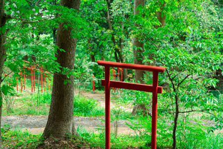 red gate in the park with green tree backgroundの写真素材