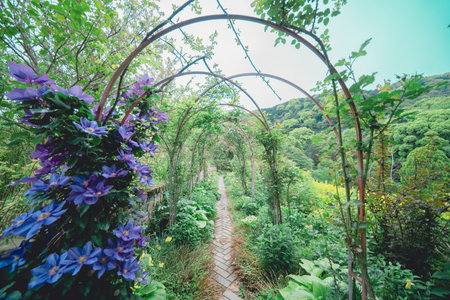 Beautiful view of the garden in the summer. Summer landscape.
