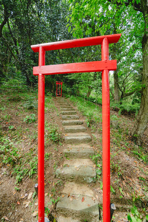 Red torii gate in a Japanese garden in Kyoto, Japan.の写真素材