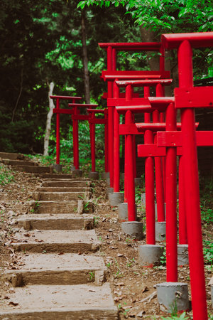 Red torii gate in the Japanese temple, closeup of photoの写真素材