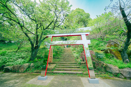 Red torii gate in Japanese garden, Kyoto, Kanagawa Prefectureの写真素材