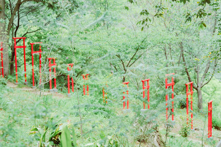 Red lanterns in the garden, outdoor.の写真素材