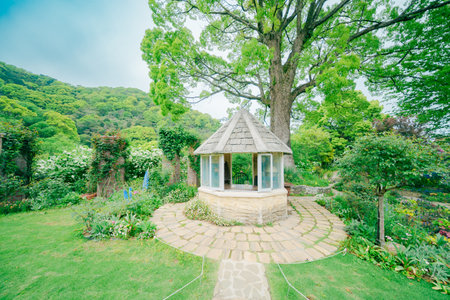 Gazebo in the garden with green tree, Thailand.の写真素材