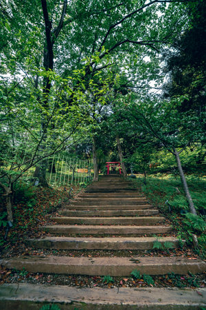 Staircase in the forest with green leaves and trees in the background