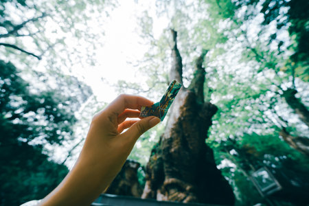 Close up of woman's hand holding with nature background.の写真素材