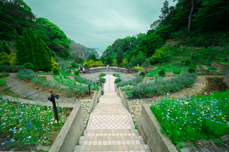 Beautiful gardenの写真素材