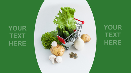 Vegetables in shopping cart - already done model of design with sample textの写真素材
