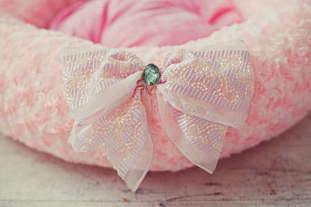 Closeup pink pet mattress with bow in interiorの写真素材