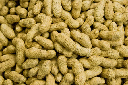  closeup tasty peanutsの写真素材