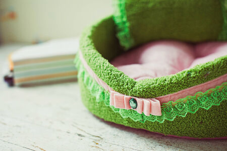 Closeup green lace and pink tie on the pet mattressの写真素材