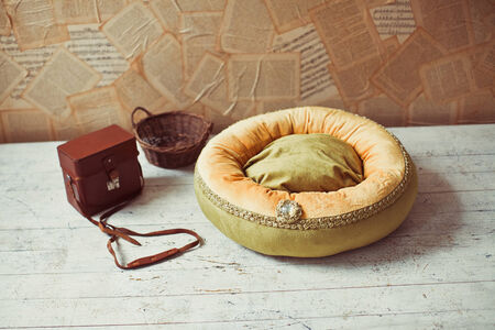 Orange and green pet mattress with brown leather box and basketの写真素材