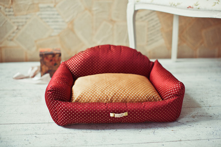 Red pet place with white sofa in provance styleの写真素材