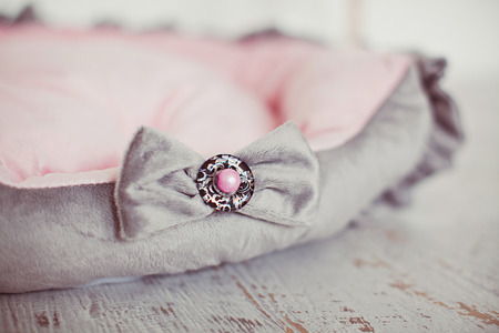 Closeup pink and gray pet mattress with flowers in interiorの写真素材