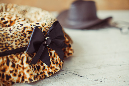 Closeup leopard pet place with hatの写真素材