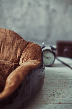 Closeup brown pet place in interior with alarm clock and cameraの写真素材