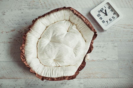 White and brown pet mattress in interior with clockの写真素材