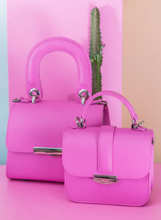 Two fashion pink bags on the pink background