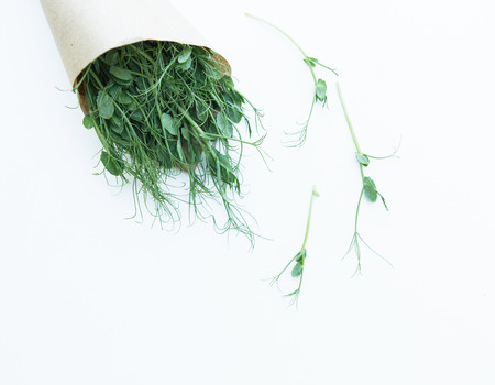 Pea microgreen in the craft paper on the white backgroundの写真素材