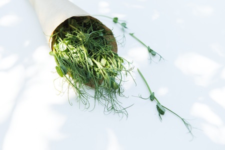 Pea microgreen in the craft paper on the white backgroundの写真素材