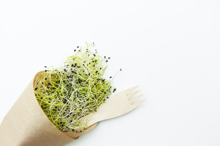 Fresh microgreen on the white background in natural lightの写真素材
