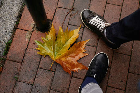 Autumn leave and shoes on a street pavement. Falling concept photoの写真素材