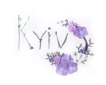Text Kyiv made of flower stems decorated with purple hydrangea flowers composition isolated on white. Copy space for text. Floral, botanical or Kyiv, Ukraine concept. High quality imageの写真素材