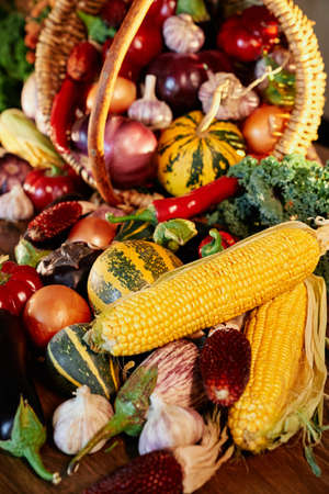 Thanksgiving Day or harvesting seasonal products concept: corn, pumpkin, tomatoes, zucchini, garlic...