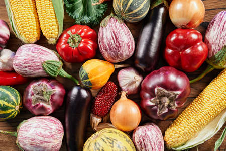 Farming or agricultural concept. Multicolored organic grown vegetables on a table. Harvesting seasonal products concept: corn, pumpkin, tomatoes, zucchini and others. High quality photoの写真素材
