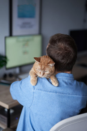 Male caucasian freelance software engineer sitting at working place in home office hardly working using tablet computer with ginger cat sitting on his back. Young developer man gray in t-shirtの写真素材