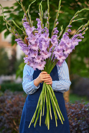red haired woman in blue shirt and hat holding bouquet of purple gladioluses outdoor, summer concept. No face seen. High quality photoの写真素材
