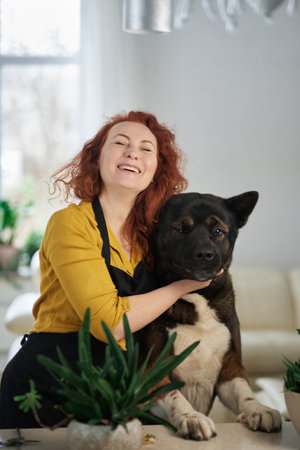Young ginger woman in black apron with akita dog having fun at home . Smiling and feeding the dog. High quality photoの写真素材