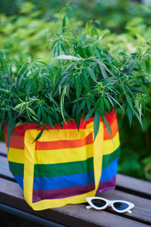 bag with LGBT colors full of canabis, and sunglasses, freedom concept . High quality photoの写真素材
