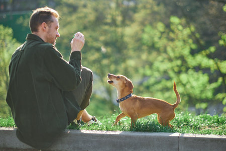 Handsome Man Plays with Cute Little Dog, Training, Teaching Tricks and Commands in the city park. Sunny Day with Green Grass Having Fun with Mans Best Friend. High quality photoの写真素材