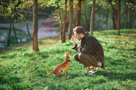 Handsome Man Plays with Cute Little Dog, Training, Teaching Tricks and Commands in the city park. Sunny Day with Green Grass Having Fun with Mans Best Friend. High quality photoの写真素材
