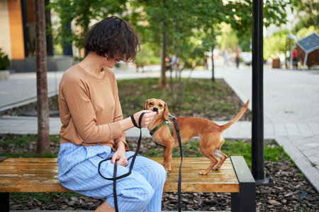 Young female adult in the city with a dog sitting and hugging, smiling. Petting the dog, feeding, having fun High quality photoの写真素材