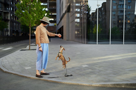 Young female adult in the city with a dog sitting and hugging, smiling. Petting the dog, feeding, having fun High quality photoの写真素材