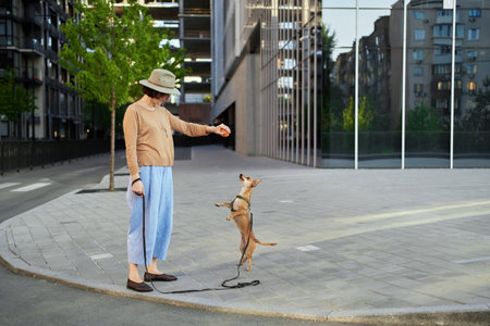 Young female adult in the city with a dog sitting and hugging, smiling. Petting the dog, feeding, having fun High quality photoの写真素材