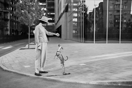 Young female adult in the city with a dog sitting and hugging, smiling. Petting the dog, feeding, having fun High quality photoの写真素材