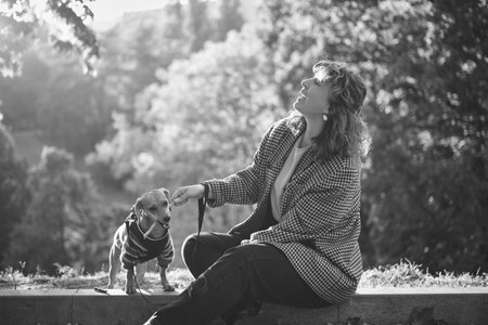 Dog training in autumn park at sunset. Happy brunette caucasian woman in casual clothes playing with...