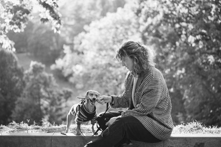 Dog training in autumn park at sunset. Happy brunette caucasian woman in casual clothes playing with her concentrated dachshund puppy outdoor. High quality vertical photoの写真素材