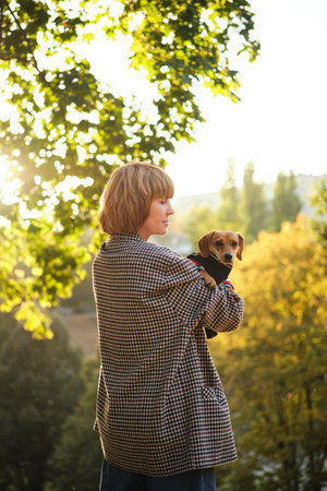 Owner walking with dog together in park outdoors, summer vacation, Adorable domestic pet concept, Friendship between human and their pet. Dachshund in sweater High quality photoの写真素材