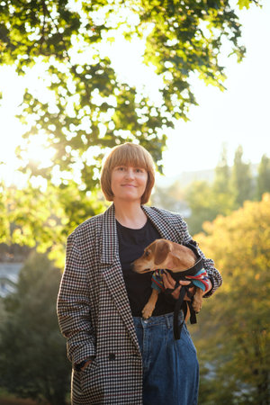 Owner walking with dog together in park outdoors, summer vacation, Adorable domestic pet concept, Friendship between human and their pet. Dachshund in sweater High quality photoの写真素材