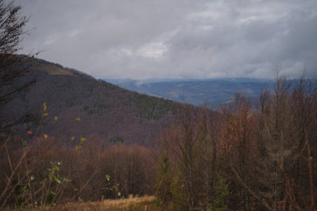 Foggy morning landscape with mountain range and misty forest, amazing autumn sunrise. Carpathian mountains, Ukraine. Panoramic view. High quality photoの写真素材