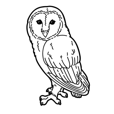 Cute owl. のイラスト素材